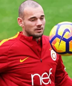 Wesley Sneijder Footballer Diamond Painting