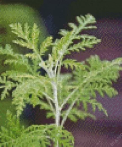 Artemisia Plant Diamond Painting