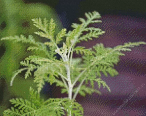 Artemisia Plant Diamond Painting