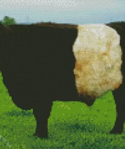 Belted Galloway Cow Diamond Painting