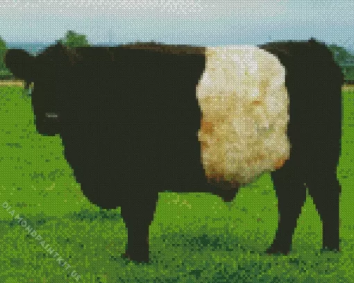 Belted Galloway Cow Diamond Painting