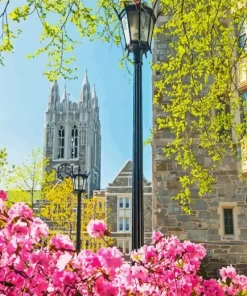 Boston College Building Diamond Painting