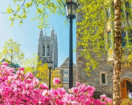 Boston College Building Diamond Painting