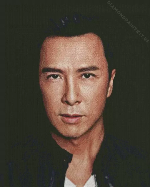 Donnie Yen Actor Diamond Painting