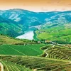 Douro Valley Diamond Painting