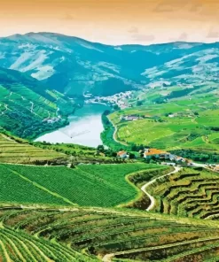 Douro Valley Diamond Painting