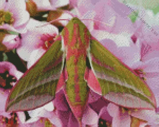 Elephant Hawk Moth in Flowers Diamond Painting