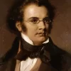 Franz Schubert Composer Diamond Painting