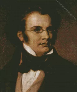 Franz Schubert Composer Diamond Painting