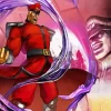 M Bison Character Diamond Painting