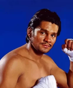 Roberto Duran Boxer Diamond Painting