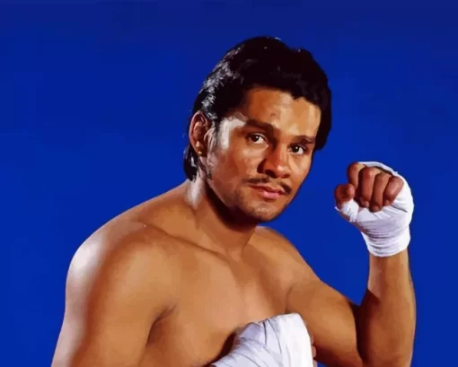 Roberto Duran Boxer Diamond Painting