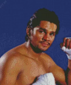 Roberto Duran Boxer Diamond Painting