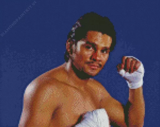 Roberto Duran Boxer Diamond Painting