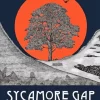 Sycamore Gap Tree Poster Diamond Painting