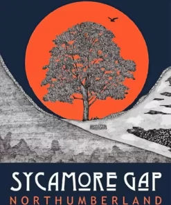 Sycamore Gap Tree Poster Diamond Painting