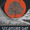 Sycamore Gap Tree Poster Diamond Painting