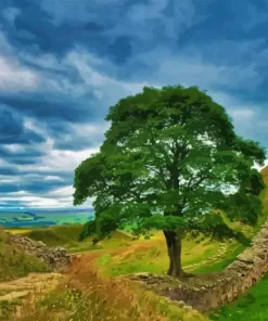 Sycamore Gap Tree Diamond Painting