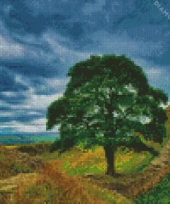 Sycamore Gap Tree Diamond Painting