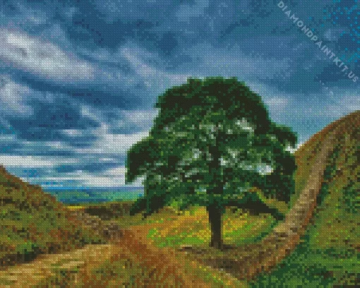 Sycamore Gap Tree Diamond Painting