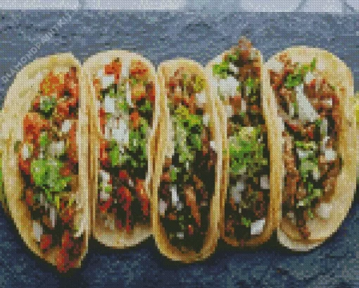 Taco Dish Diamond Painting