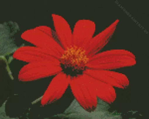 Tithonia Rotundifolia Flower Diamond Painting