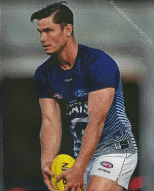 Tom Hawkins Footballer Diamond Painting