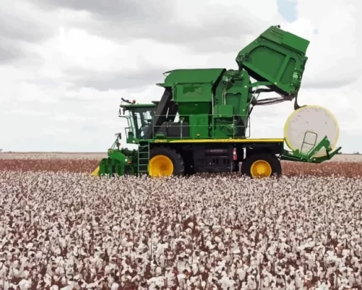 Cotton Harvesting Diamond Painting