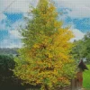 Green Ginkgo Tree Diamond Painting