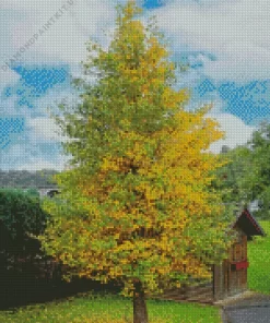 Green Ginkgo Tree Diamond Painting