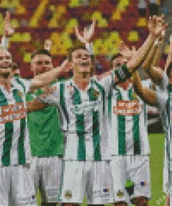 SK Rapid Wien Diamond Painting