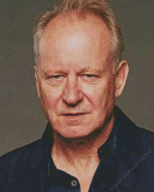 Stellan Skarsgard Actor Diamond Painting