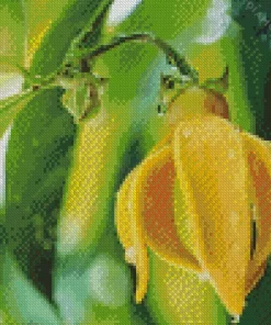 Ylang Ylang Plant Diamond Painting