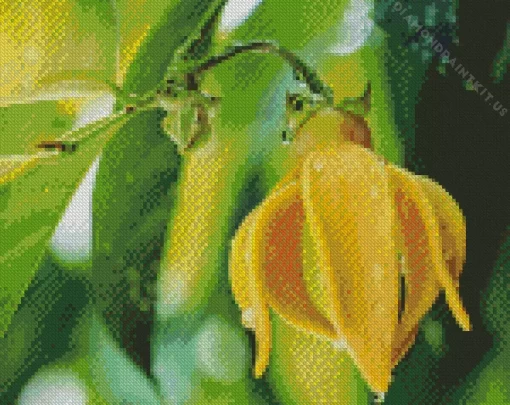 Ylang Ylang Plant Diamond Painting