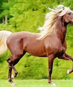 Brown Horse With Blond Hair Diamond Painting