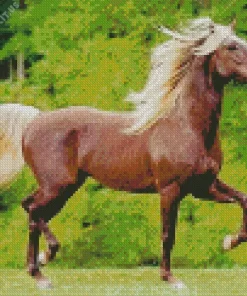 Brown Horse With Blond Hair Diamond Painting