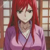 Erza Scarlet Art Anime Diamond Painting