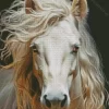 Horse With Blond Hair Diamond Painting