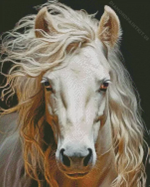 Horse With Blond Hair Diamond Painting