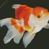 Oranda Goldfish Diamond Painting