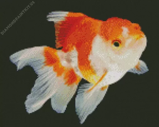 Oranda Goldfish Diamond Painting