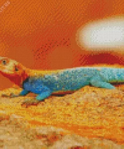 Orange Agama Diamond Painting