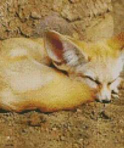 Sleepy Blond Fox Diamond Painting