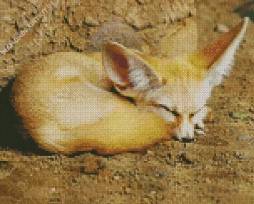 Sleepy Blond Fox Diamond Painting