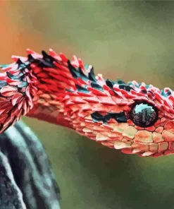 African Bush Viper Diamond Painting