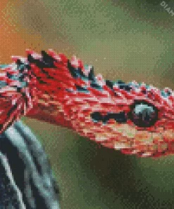 African Bush Viper Diamond Painting