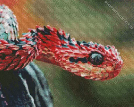 African Bush Viper Diamond Painting