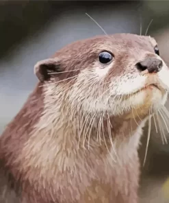 Asian Small Clawed Otter Diamond Painting