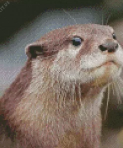 Asian Small Clawed Otter Diamond Painting