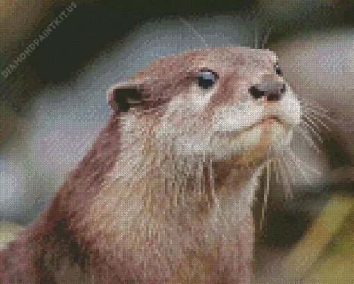 Asian Small Clawed Otter Diamond Painting